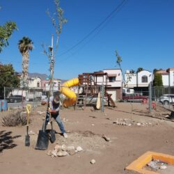 Realiza Saltillo intensa jornada de reforestación en Portal de Agaves