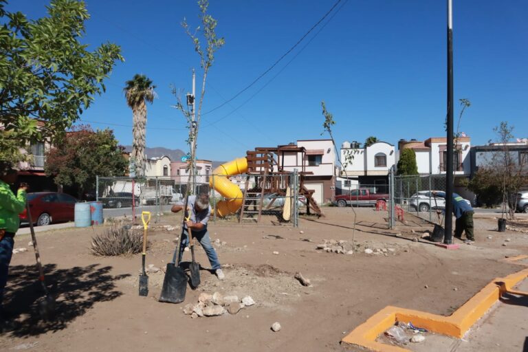 Realiza Saltillo intensa jornada de reforestación en Portal de Agaves