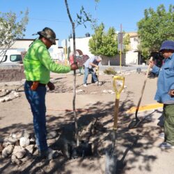Realiza Saltillo intensa jornada de reforestación en Portal de Agaves1