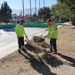Realiza Saltillo intensa jornada de reforestación en Portal de Agaves2