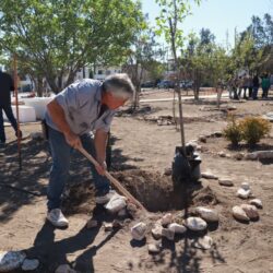 Realiza Saltillo intensa jornada de reforestación en Portal de Agaves3