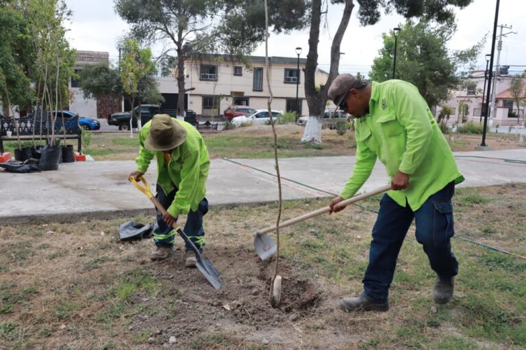 Realiza Saltillo jornada intensa de reforestación en la Latinoamericana
