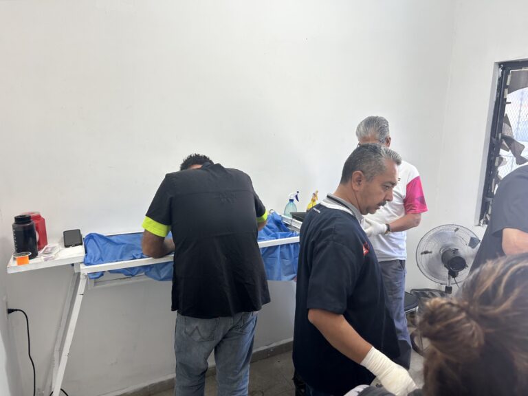 Refuerzan campaña contra la sobrepoblación de perros y gatos en Ramos Arizpe