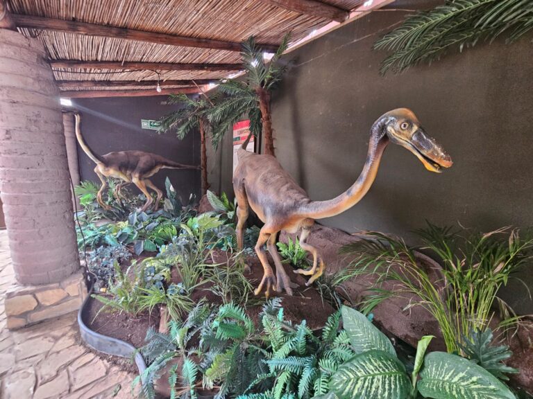 Renovará Museo del Desierto su Zona Dinos 