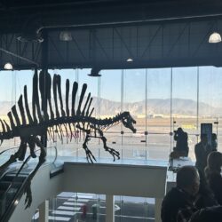 Saltillo vuelve a despegar rumbo a la CDMX; Reinician vuelos directos tras cinco años8