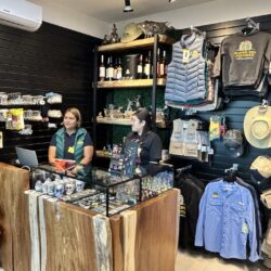 Saltillo vuelve a despegar rumbo a la CDMX; Reinician vuelos directos tras cinco años9