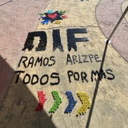 Scouts de Ramos Arizpe logran gran colecta en el Tapatón 2025 10