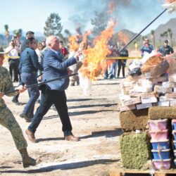 WhatsApp Image 2025-10-31 at 5.54.25 PM (1)