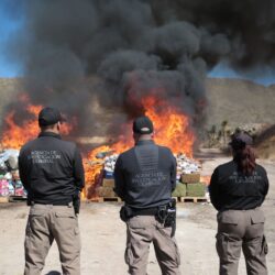 WhatsApp Image 2025-10-31 at 5.54.25 PM (2)