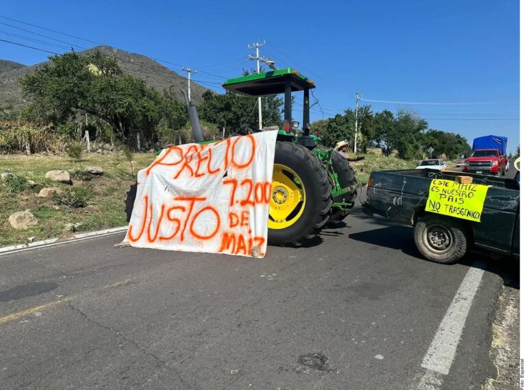 Alcanzan agricultores 100 pesos más por tonelada de maíz