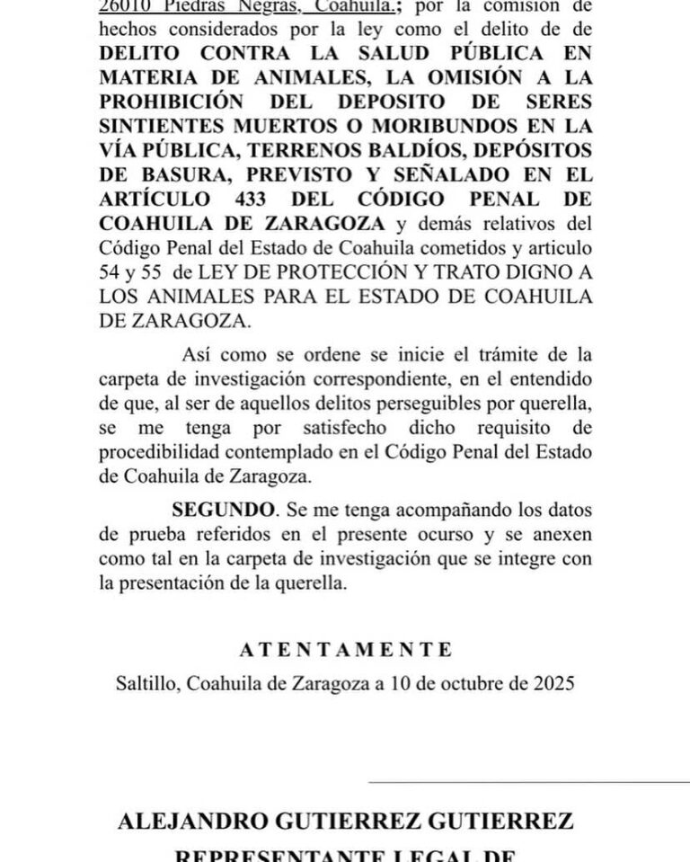 Busca Dignidad Animal sanción ejemplar contra responsables de sacrificar perros en PN