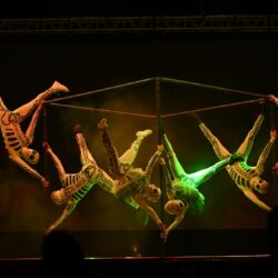 c36f034a-46ae-414d-9484-28e9a076e9ae