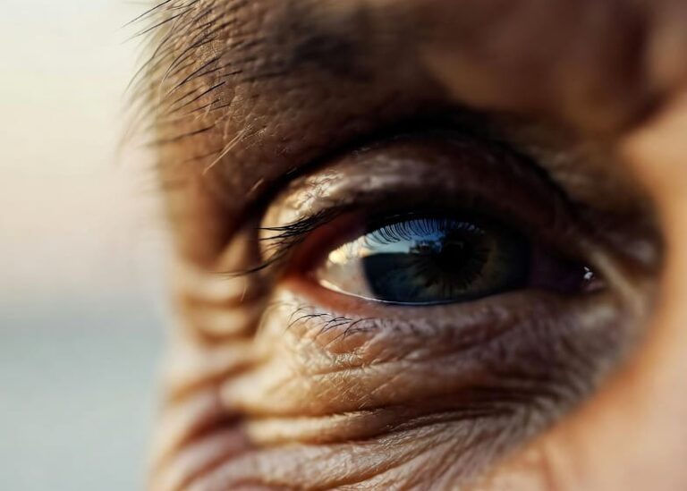 Descubren cómo revertir la pérdida de la visión causada por la edad