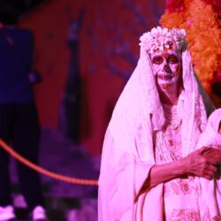 eaabab48-f7fe-4d22-9d8b-7ee257453824