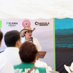 el pri es un aliado 7