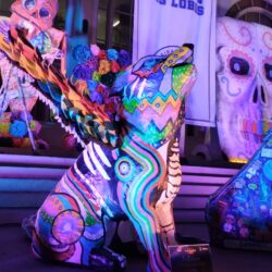 fb1246cf-aa33-454c-8691-92a989ea958b