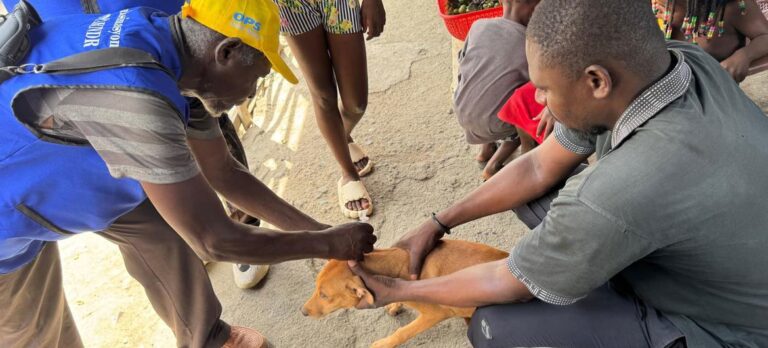 Haití combate la rabia con vacunas y vigilancia