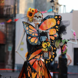 invitan a disfrutar 2