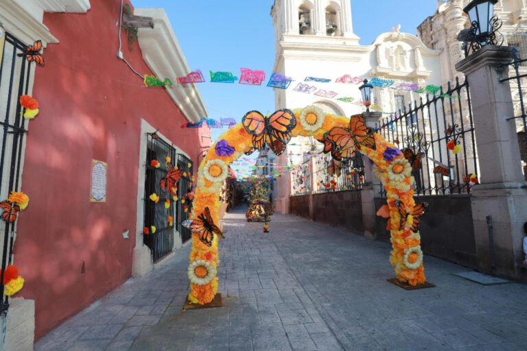 Invitan a disfrutar en Saltillo del Festival Paso de la Mariposa Monarca