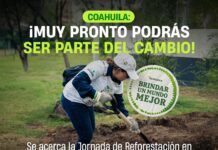 Plantarán dos mil árboles en la Reserva Natural Las Delicias de la Sierra de Arteaga