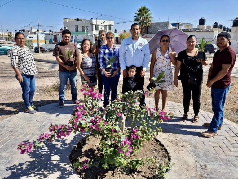 PRI Ramos Arizpe impulsa jornada de reforestación en Parajes de los Pinos