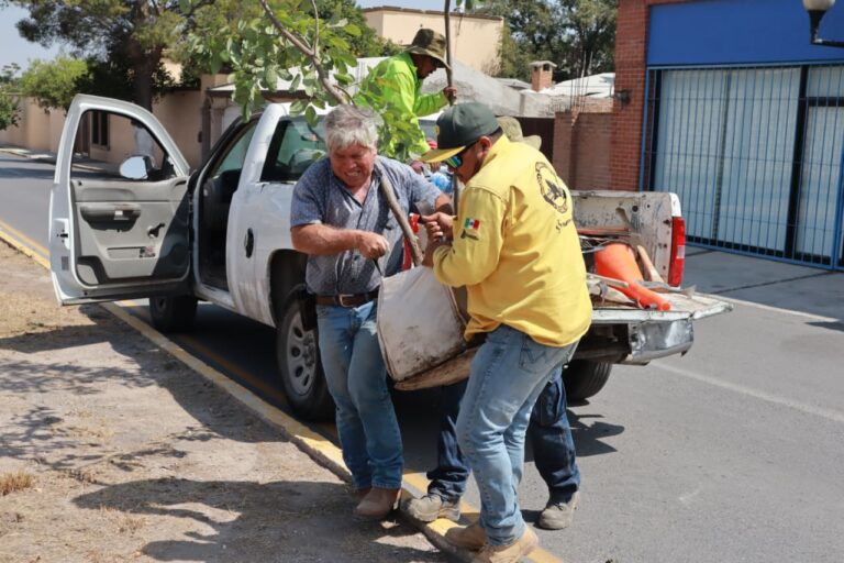 Reforesta Gobierno de Saltillo bulevar Rufino Tamayo
