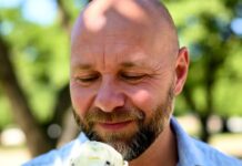 Estevia, una solución dulce para la calvicie