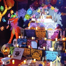 thumbnail_1000492861