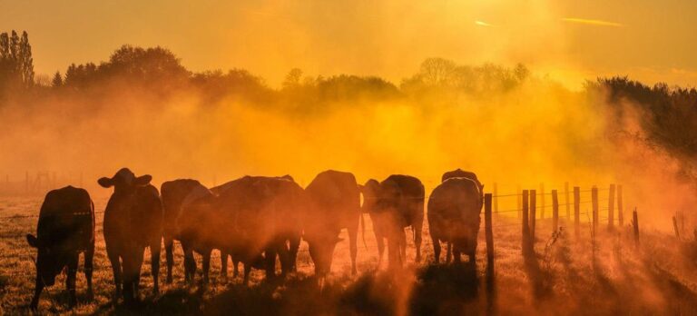 El 2025 se perfila como el segundo o tercer año más cálido en los registros