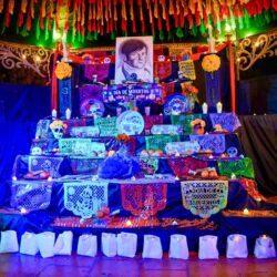 8edd8349-1692-4a7b-b66f-71d732cd709c