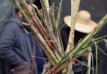 Amagan cañeros con tomar la Sader por subsidio