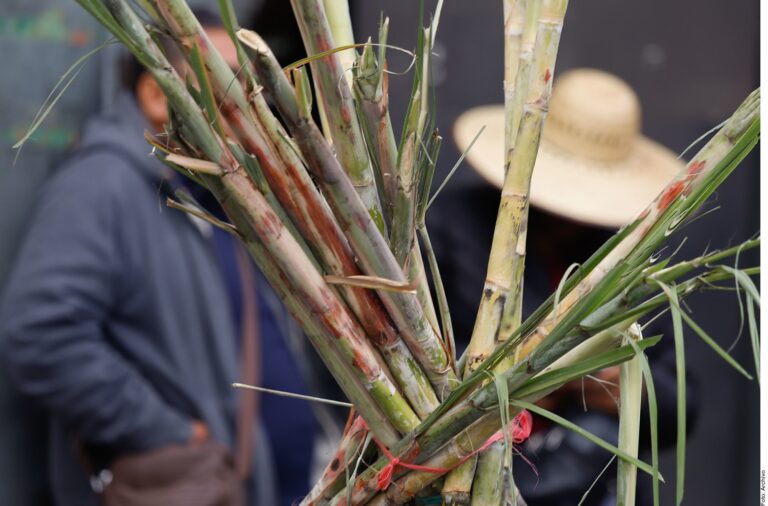 Amagan cañeros con tomar la Sader por subsidio