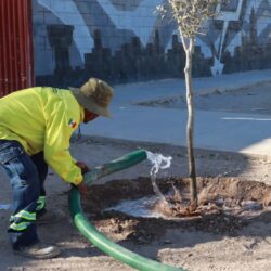 Atiende Saltillo con agua tratada áreas verdes de ‘Activa tu Parque’3