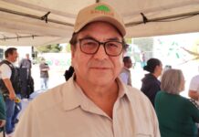 Busca Dignidad Animal se impongan hasta ocho años de cárcel a quienes den muerte cruel a caninos