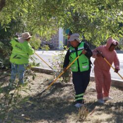 Delimita Municipio camellones en favor de la seguridad vial en Saltillo1