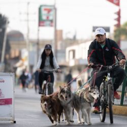Disfrutan saltillenses de actividades en la Ruta Recreativa2