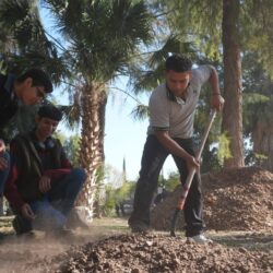 El Bosque Venustiano Carranza crece y se fortalece; reforestan 100 nuevos árboles con apoyo de alumnos del CONALEP