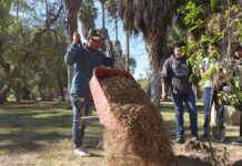 El Bosque Venustiano Carranza crece y se fortalece; reforestan 100 nuevos árboles con apoyo de alumnos del CONALEP