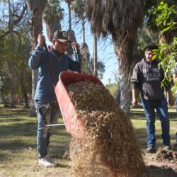 El Bosque Venustiano Carranza crece y se fortalece; reforestan 100 nuevos árboles con apoyo de alumnos del CONALEP1