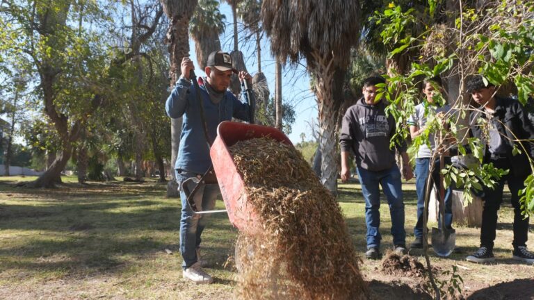 El Bosque Venustiano Carranza crece y se fortalece; reforestan 100 nuevos árboles con apoyo de alumnos del CONALEP