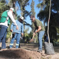 El Bosque Venustiano Carranza crece y se fortalece; reforestan 100 nuevos árboles con apoyo de alumnos del CONALEP2