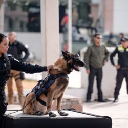 Encabeza Javier Díaz “jubilación” de dos elementos de la unidad canina1