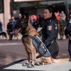 Encabeza Javier Díaz “jubilación” de dos elementos de la unidad canina2