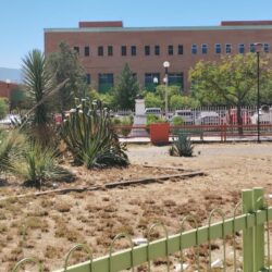 Entre basura y abandono se encuentra plaza a un costado de la Clínica 82 del IMSS, en Saltillo2