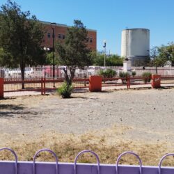 Entre basura y abandono se encuentra plaza a un costado de la Clínica 82 del IMSS, en Saltillo3