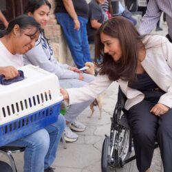 Exitosa jornada de esterilización gratuita en el DIF Ramos Arizpe1