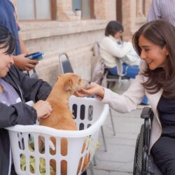 Exitosa jornada de esterilización gratuita en el DIF Ramos Arizpe2