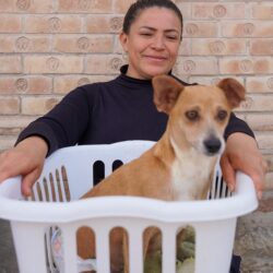 Exitosa jornada de esterilización gratuita en el DIF Ramos Arizpe3