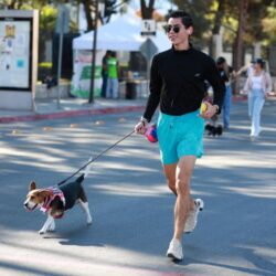 Familias encuentran activación física y convivencia en la Ruta Recreativa