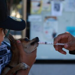 Familias encuentran en la Ruta Recreativa espacio para la recreación y activación física
